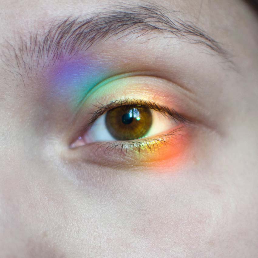 Retina Conditions Tallahassee, What is the Retina?